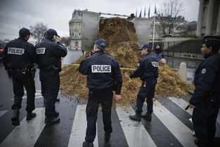 法国卡车司机议会大厦前倾倒马粪抗议奥朗德 