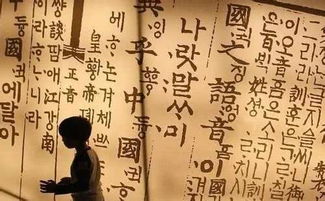 日本嘲笑韩国废除汉字 韩国人废除汉字