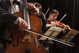 大提琴独奏十大名曲