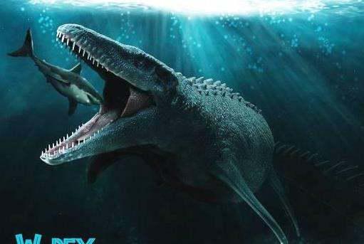 史前海洋巨兽沧龙的体型到底有多大 
