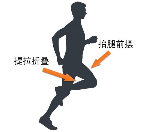 初级跑者练步频 成熟跑者练步幅 提升步幅的关键训练