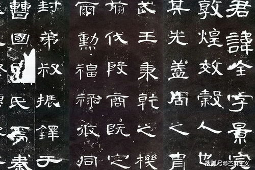 解说 观象 旧新书 ,无法阅读的中国书法简史 字体 