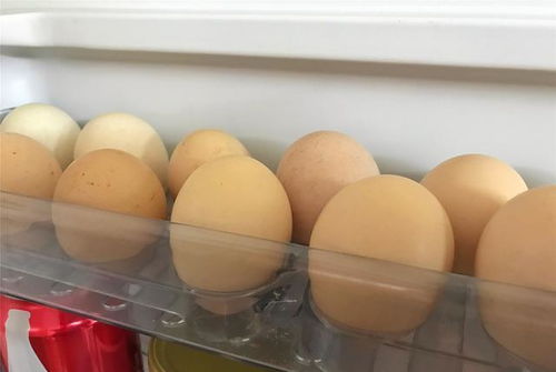 夏天鸡蛋需要放冰箱吗